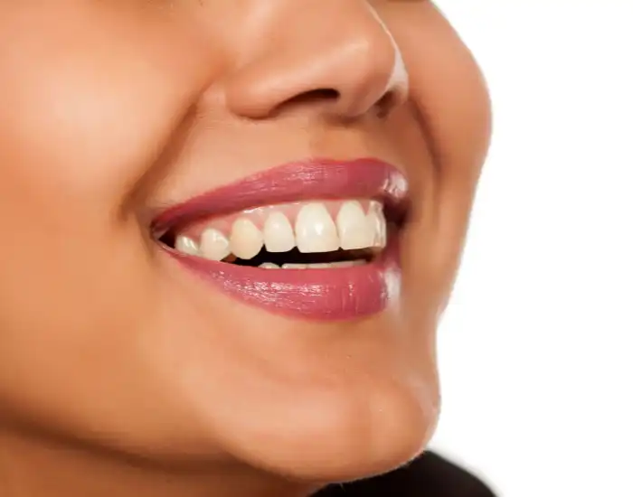 How Many Teeth Does a Human Have? Complete Guide